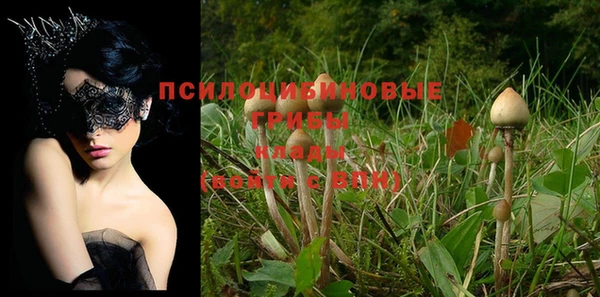 хмурый Переславль-Залесский