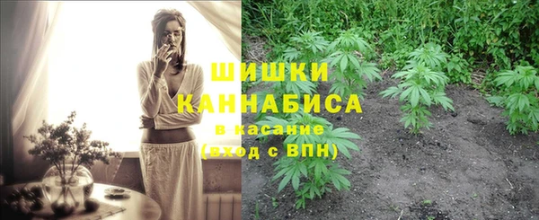 твердый Пересвет