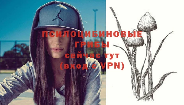 хмурый Переславль-Залесский