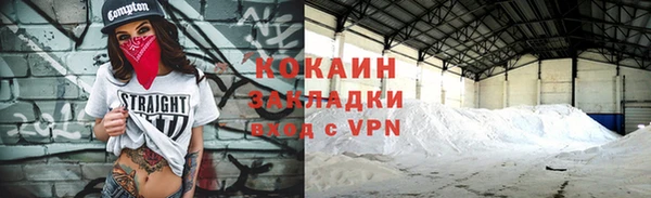 твердый Пересвет