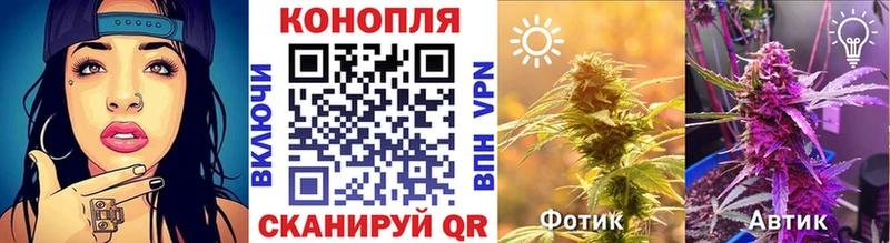 Канабис план  гидра онион  Покров 